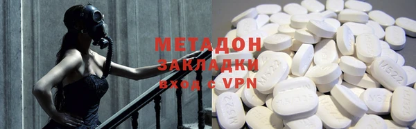 прущие грибы Новозыбков