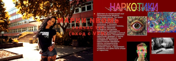 стафф Аркадак