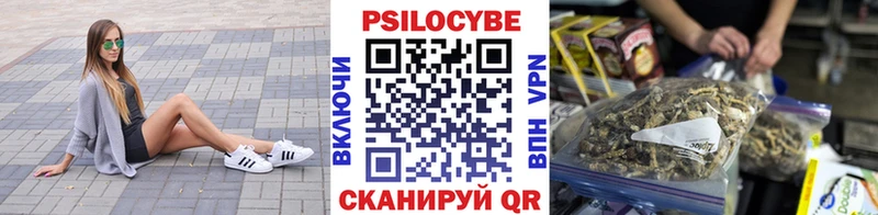 гидра ссылки  Семилуки  Псилоцибиновые грибы Psilocybine cubensis 